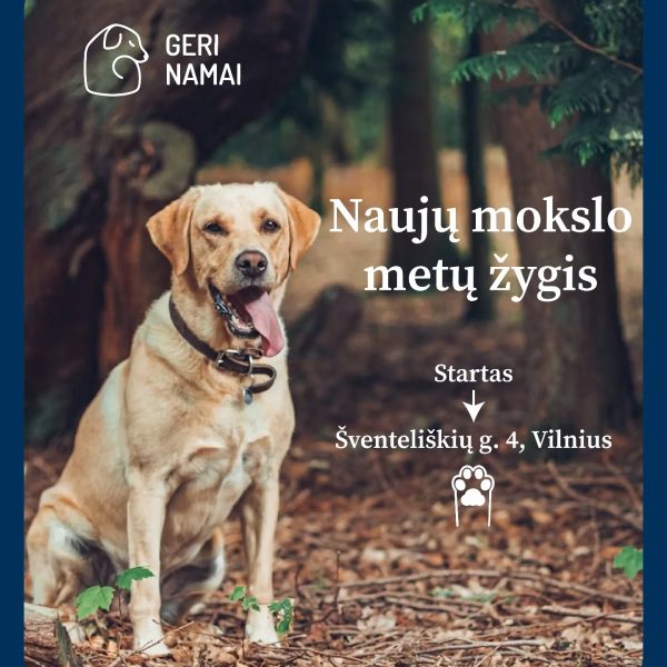 „Back to school” žygis Bajoruose!