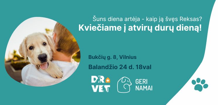 Šuns diena Geruose namuose!