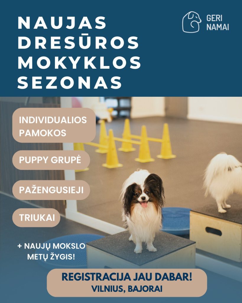 NAUJAS DRESŪROS SEZONAS – STARTUOJAME!