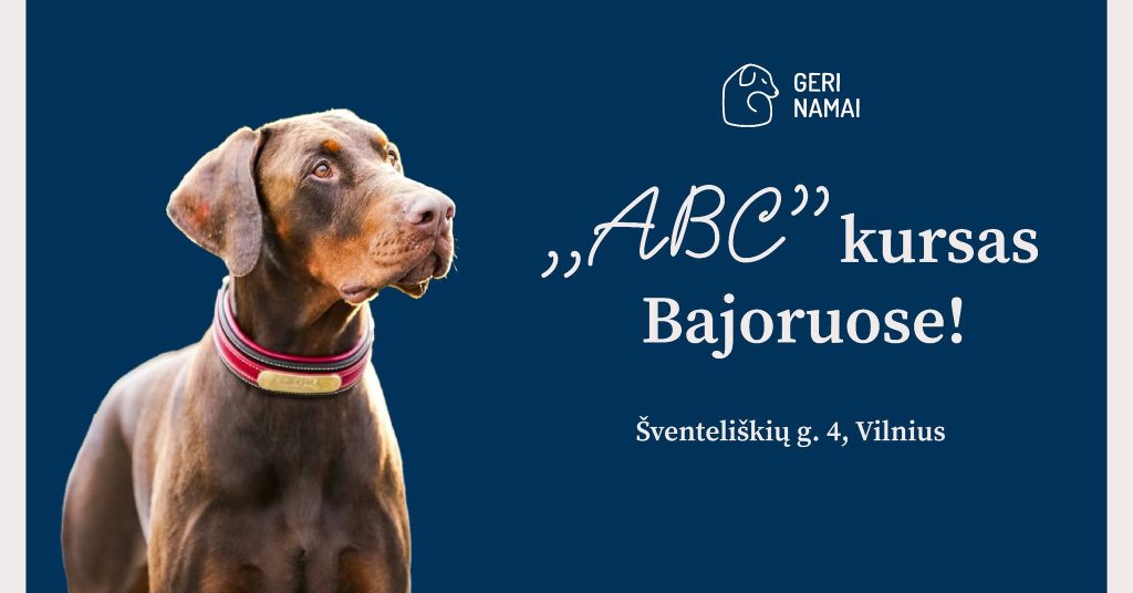  Startuoja naujas kursas – „Šuns ABC“!