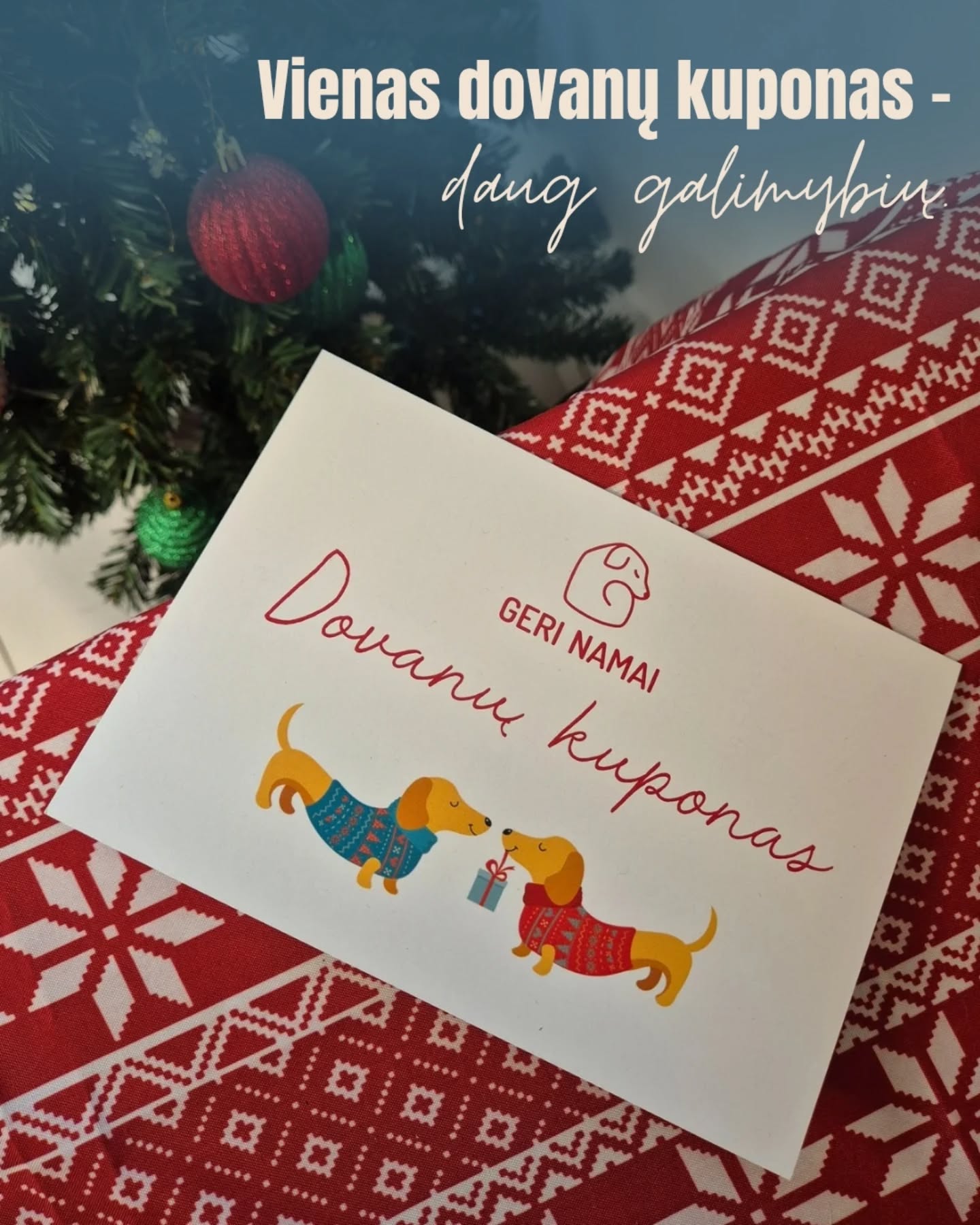 Vienas dovanų kuponas – daug šuniškų galimybių!