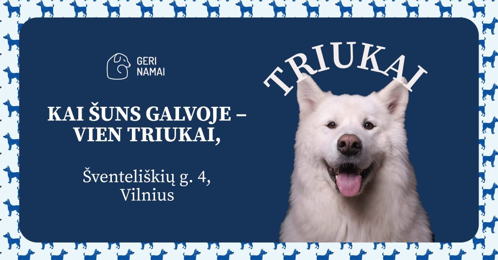 Naujas Triukų kursas nuo Lapkričio 18-os dienos!